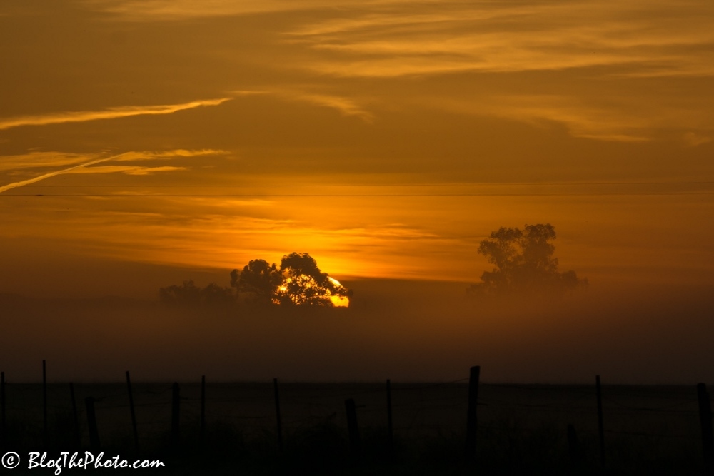 Early Morning