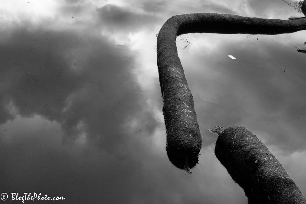 Sky worms